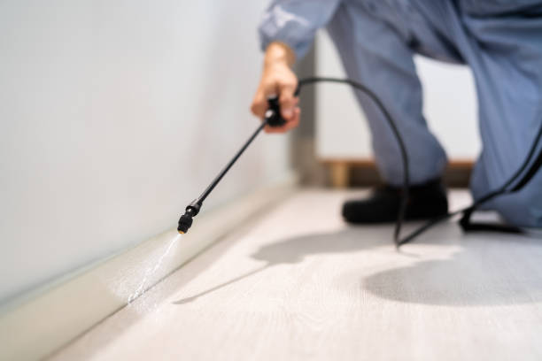 Licensed Mosquito Control service in Swansboro, NC - Show Me Pest Control