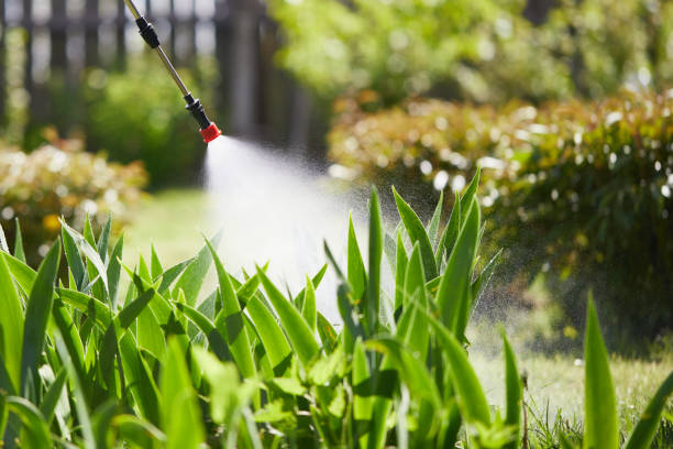 24/7 Emergency Mosquito Control experts in Swansboro, NC