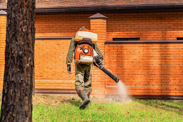 Top rated local Mosquito Control specialists in Swansboro, NC